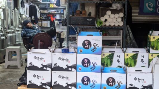 Explorer et photographier le marché de Jagalchi à Busan