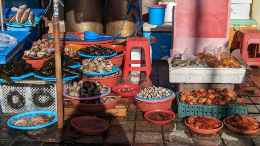 Explorer et photographier le marché de Jagalchi à Busan