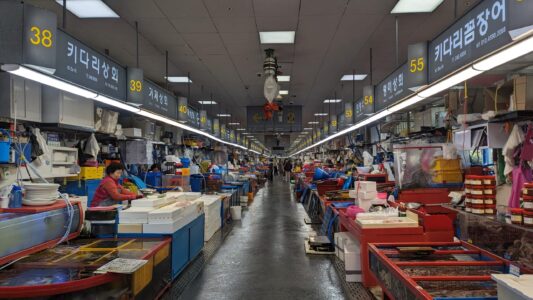 Explorer et photographier le marché de Jagalchi à Busan