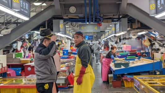 Explorer et photographier le marché de Jagalchi à Busan