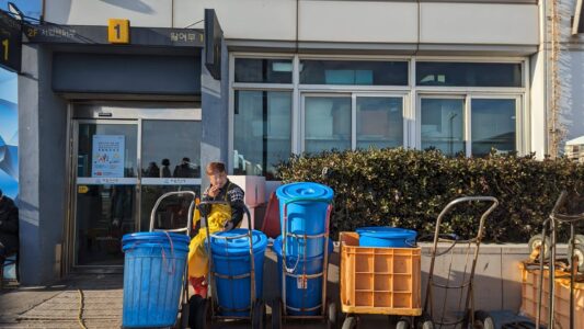 Explorer et photographier le marché de Jagalchi à Busan