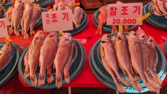 Explorer et photographier le marché de Jagalchi à Busan