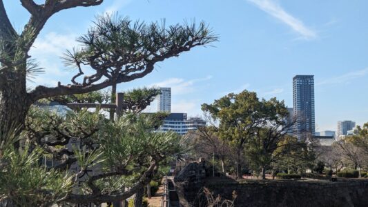 Vue du parc depuis le Château d'Osaka, avec des arbres et un ciel bleu