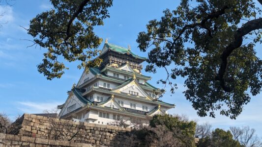 Château d'Osaka entouré d'arbres, avec un ciel clair en arrière-plan