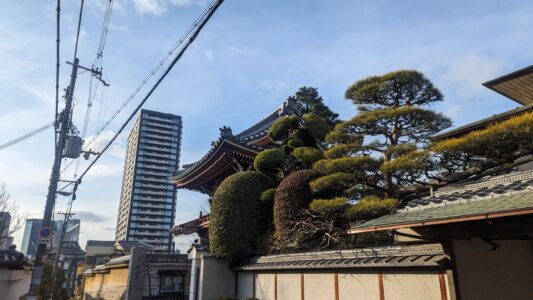 Temple à Osaka avec des teintes brun et gris, entouré d'un arbre, Japon
