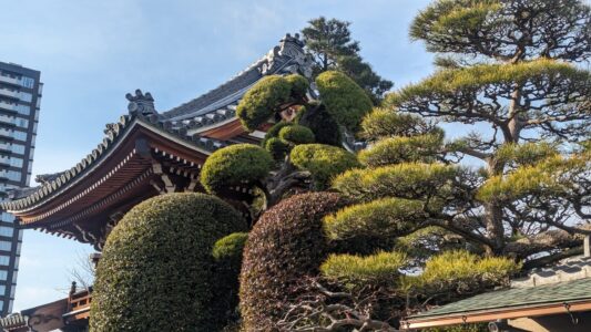 Temple à Osaka avec des teintes brun et gris, entouré d'un arbre, Japon