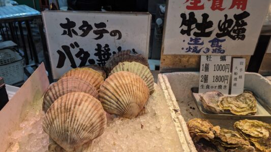 Reportage photo dans la ville d'Osaka dans le Kansai au Palourdes et huîtres fraîches exposées lors d'un Foodie Tour à Osaka