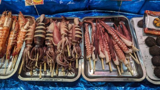Poulpes et calamars frais exposés lors d'un Foodie Tour à Osaka