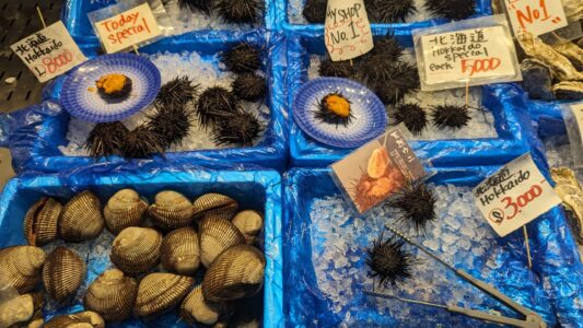 Oursins Oursins et fruits de mer frais exposés lors d'un Foodie Tour à Osaka