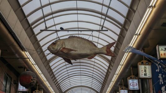 Marché Kuromon Enseigne colorée d'un stand de poisson au marché Kuromon à Osaka