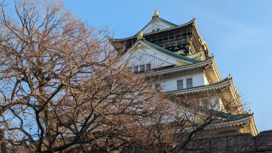 Image du château d'Osaka en hiver, vue depuis le bas avec un arbre devant, ses branches dépouillées