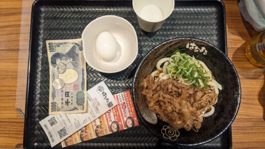Image d'un plat de nouilles udon japonais accompagné d'un ensemble de garnitures et d'une note en yen, illustrant un food tour à Osaka