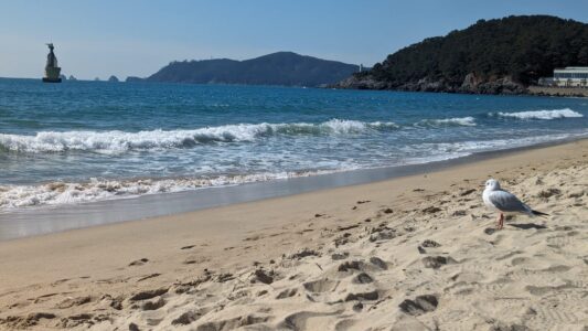 Découvrir la plage Haeundae dans la ville de Busan en Corée du sud