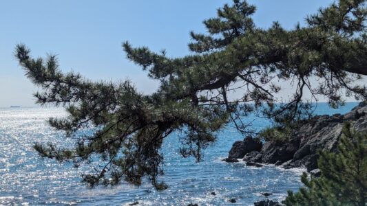 Découvrir la plage Haeundae dans la ville de Busan en Corée du sud