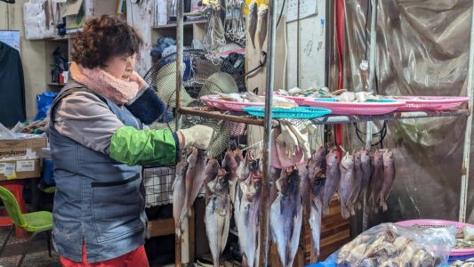 Photographier la vie locale et les habitants à Busan en Corée du sud