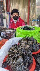 Photographier la vie locale et les habitants à Busan en Corée du sud