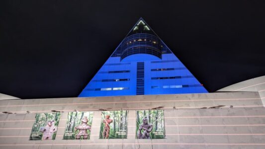 Photographie pendant 2 jours de festival : Scènes locales, chars, défilés & Feux d'Artifice