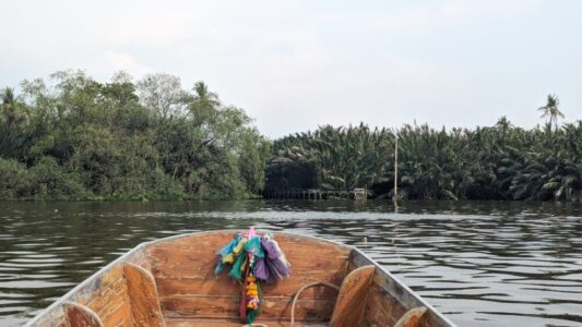 Vue prise à bord d'une barque en bois dans le parc Bangkachao à Bangkok