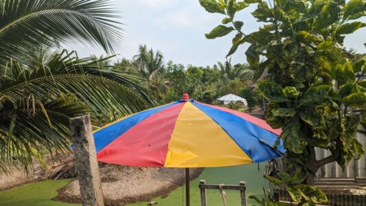 Un parasol coloré dans le parc Bangkachao à Bangkok