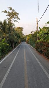 Longue rue droite bordée de végétation dans le parc Bangkachao à Bangkok