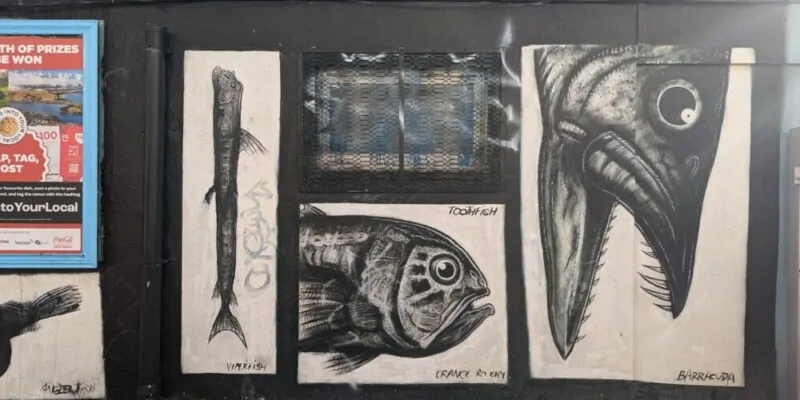 Street art à Wellington, Nouvelle-Zélande, montrant différents dessins de poissons sur des murs