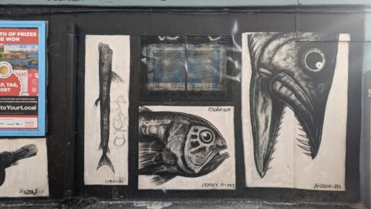 Street art à Wellington, Nouvelle-Zélande, montrant différents dessins de poissons sur des murs