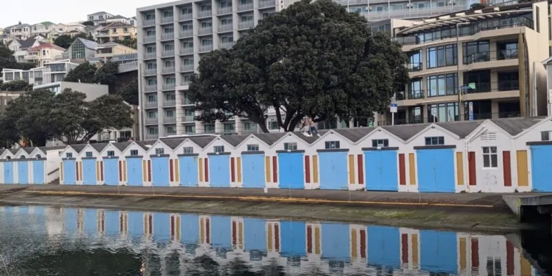 Des maisons modernes en bleu et blanc, situées près du port de Wellington, se reflètent magnifiquement dans l'eau calme. L'architecture minimaliste s'harmonise parfaitement avec le paysage marin