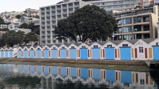 Des maisons modernes en bleu et blanc, situées près du port de Wellington, se reflètent magnifiquement dans l'eau calme. L'architecture minimaliste s'harmonise parfaitement avec le paysage marin