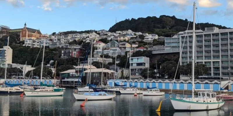 Des voiliers flottent paisiblement dans le port de Wellington, avec le Mont Victoria en arrière-plan. La scène combine le mouvement de l'eau et la majesté des collines environnantes