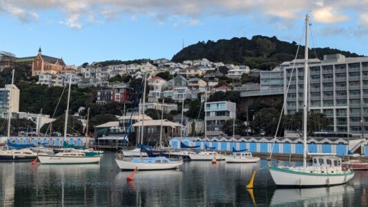Des voiliers flottent paisiblement dans le port de Wellington, avec le Mont Victoria en arrière-plan. La scène combine le mouvement de l'eau et la majesté des collines environnantes