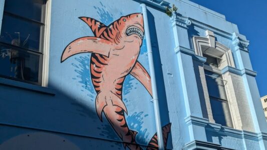 Street art représentant un requin sur un mur à Wellington, Nouvelle-Zélande