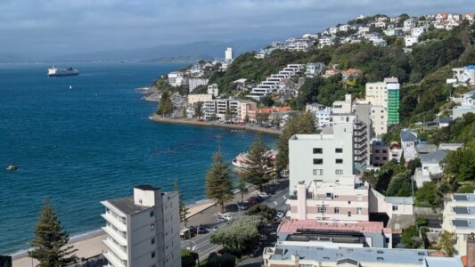 Vue panoramique de Wellington depuis le Mont Victoria, avec l'architecture de la ville en premier plan