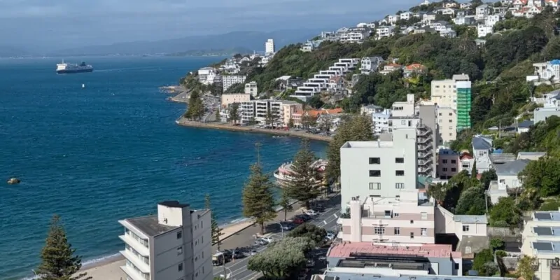 Vue panoramique de Wellington depuis le Mont Victoria, avec l'architecture de la ville en premier plan
