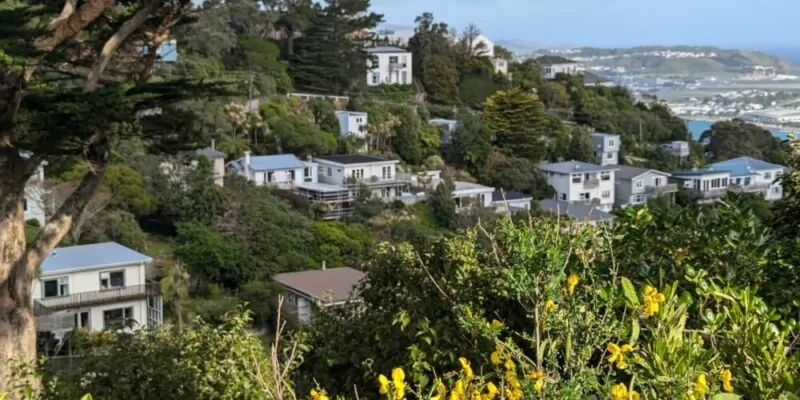 Vue de l'architecture de Mont Victoria à Wellington, avec des maisons typiques offrant un aperçu de la ville