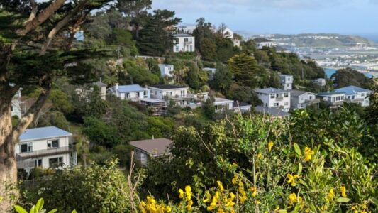 Vue de l'architecture de Mont Victoria à Wellington, avec des maisons typiques offrant un aperçu de la ville