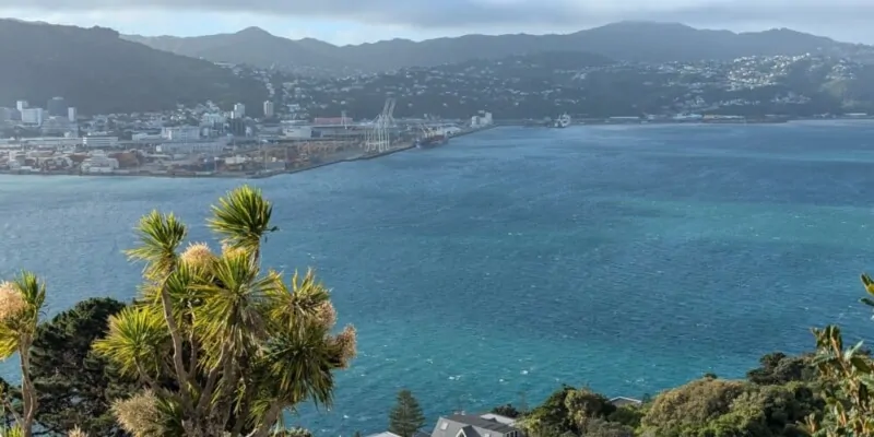 Vue imprenable sur la mer depuis Mont Victoria, offrant un panorama sur Wellington