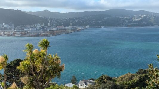 Vue imprenable sur la mer depuis Mont Victoria, offrant un panorama sur Wellington