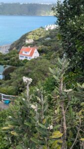 Maison orange perchée sur Mont Victoria, offrant une vue panoramique de Wellington