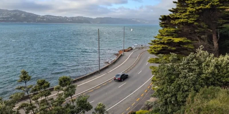 Vue en hauteur d'Oriental Bay à Wellington, avec une rue bordée d'arbres et une voiture passant