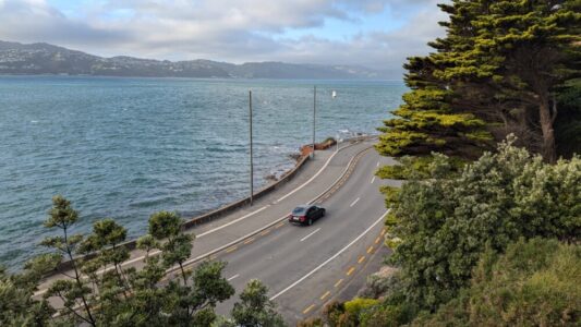 Vue en hauteur d'Oriental Bay à Wellington, avec une rue bordée d'arbres et une voiture passant