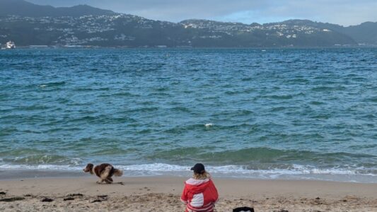 Vue de dos d'une fille marchant avec son chien à Wellington, capturant un moment paisible