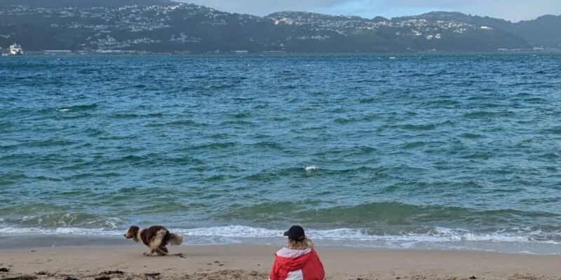 Vue de dos d'une fille marchant avec son chien à Wellington, capturant un moment paisible