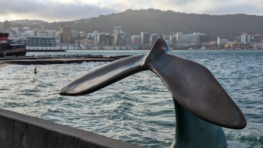 Vue du port de Wellington avec une sculpture de queue de baleine, symbolisant l'art et la nature