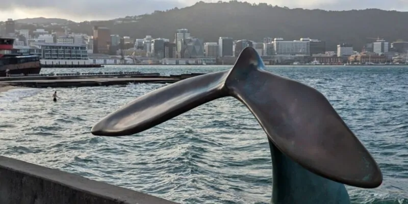 Vue du port de Wellington avec une sculpture de queue de baleine, symbolisant l'art et la nature