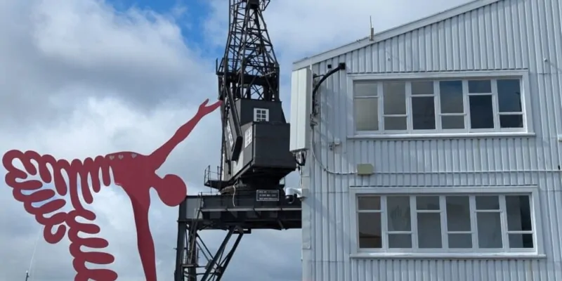 Street art à Wellington : une statue rouge emblématique située près du port