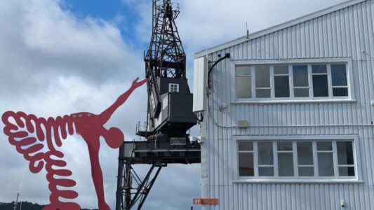 Street art à Wellington : une statue rouge emblématique située près du port