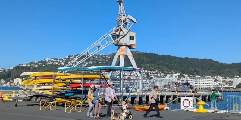 Vue sur les docks de Wellington avec un gros portique de chargement (grue) et des machines de transport de marchandises près des bateaux