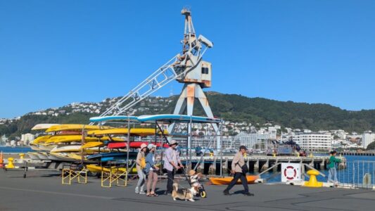 Vue sur les docks de Wellington avec un gros portique de chargement (grue) et des machines de transport de marchandises près des bateaux