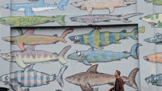 Fresque street art de requins à Wellington. Un passant marche devant le mur