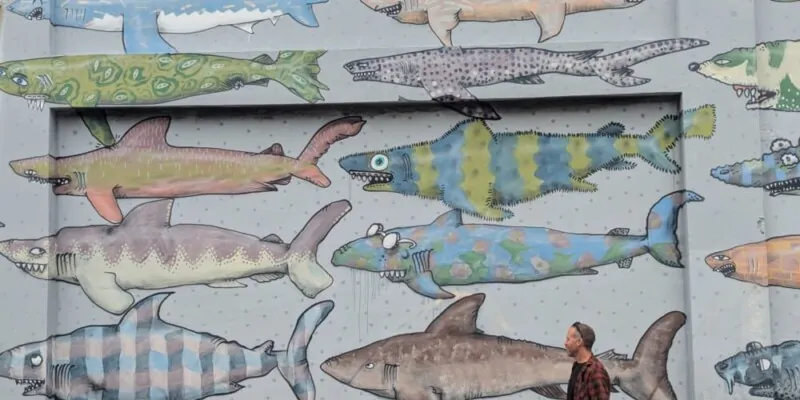 Fresque street art de requins à Wellington. Un passant marche devant le mur